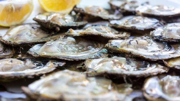 European flat oysters are enhanced by nutrients in Mali Ston Bay (Credit: Credit: Westend61 GmbH/Alamy)