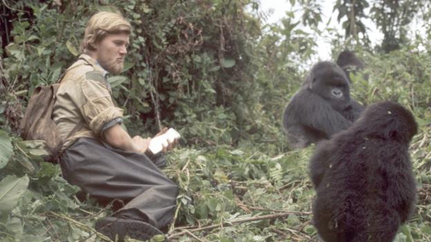 Monitoring gorillas took time. This photo of Ian Redmond was taken by Fossey 