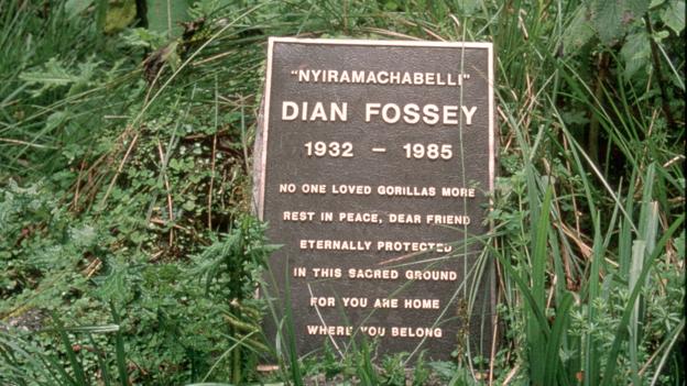 Dian Fossey: 1932 - 1985 (Credit: Ian Redmond)