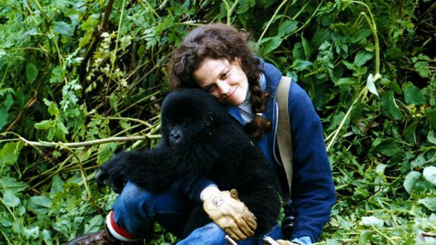 Sigourney Weaver as Dian Fossey (Credit: AF Archive/Alamy Stock Photo)