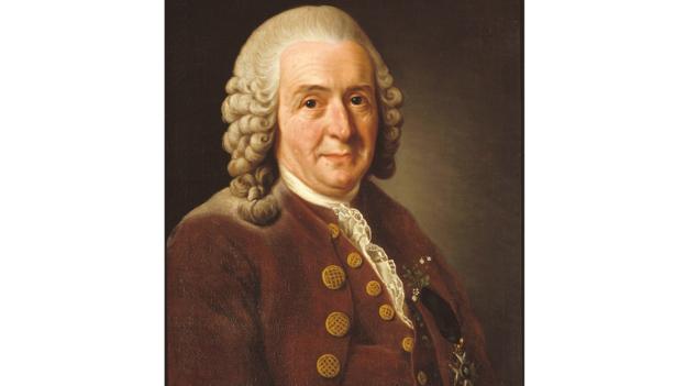 Carl Linnaeus, as painted in 1775 by Alexander Roslin 