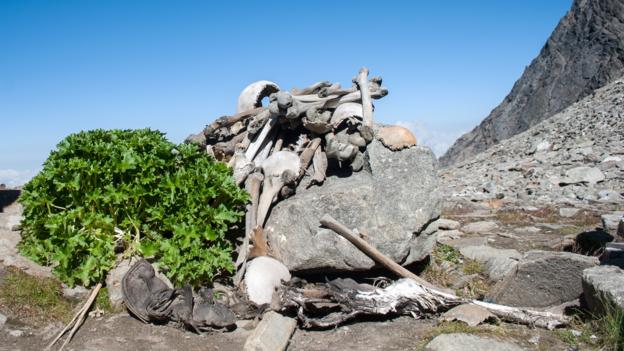 Nobody can be sure why these skeletons are at the bottom of a glacial lake (Credit: Credit: Schwiki/Human Skeletons in Roopkund Lake/Wikipedia/CC BY-SA 4.0)