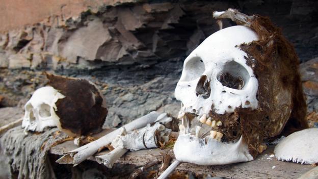 Human remains at Laguna de los Condores (Credit: Credit: Krista Eleftheriou)