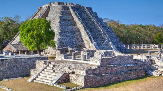 The Maya were heavily dependent on crops (Credit: Robertharding/Alamy)