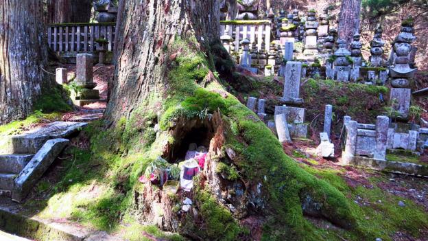 Okunoin is Japan’s biggest cemetery at 2km long (Credit: Credit: Adam H. Graham) Okunoin is Japan’s biggest cemetery at 2km long (Credit: Credit: Adam H. Graham)
