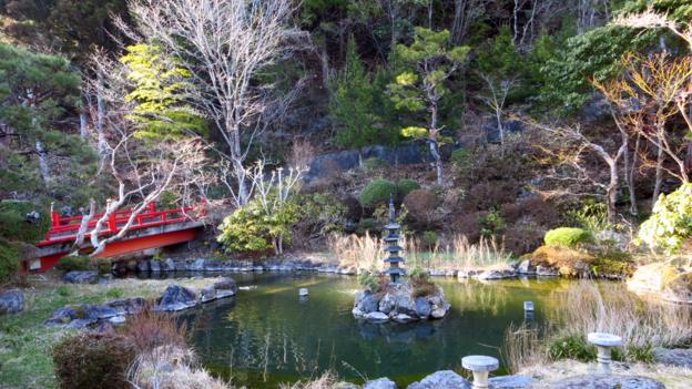 The forest surrounding Okunoin Cemetery is 1,200 years old (Credit: Credit: Adam H. Graham) The forest surrounding Okunoin Cemetery is 1,200 years old (Credit: Credit: Adam H. Graham)