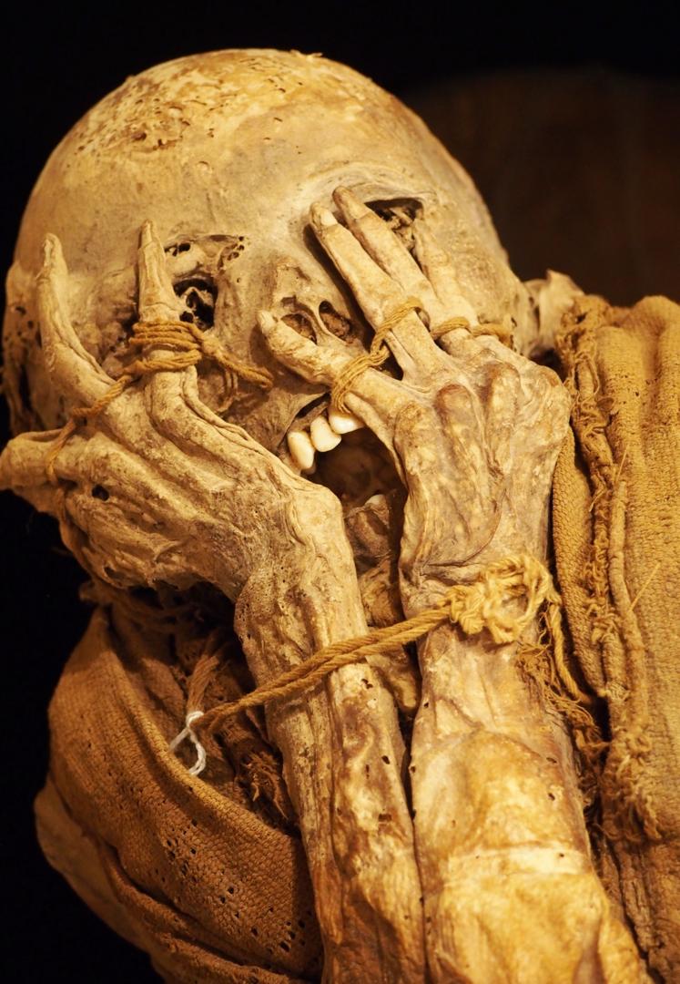 Mummies conserved in the Leymebamba Museum (Credit: Credit: Krista Eleftheriou)
