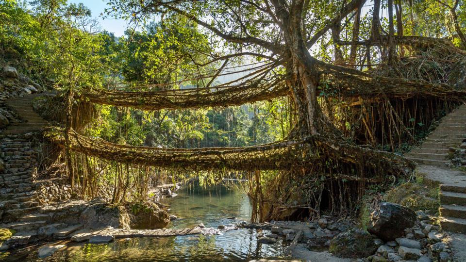 bbc-earth-what-s-the-wettest-place-on-earth