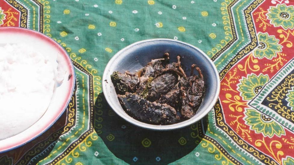 (Credit: Prof S.R. Belmain, University of Greenwich) (Credit: Prof S.R. Belmain, University of Greenwich)