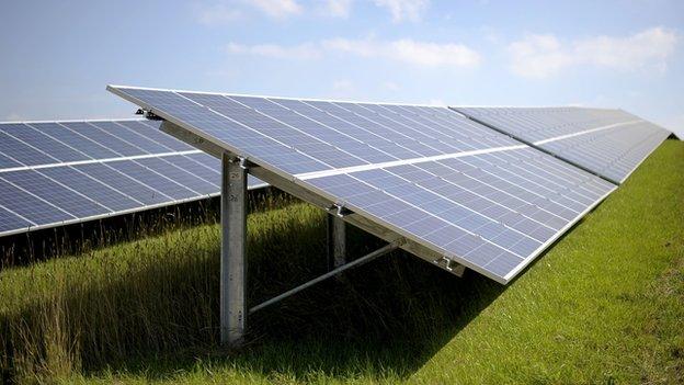 Environment Secretary Liz Truss says large-scale solar farms are "ugly" as she confirms plans to cut a taxpayer subsidy for the schemes.