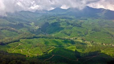 After his asthma attack, MacDonald travelled to Munnar in India's Western Ghats mountains (Credit: Credit: Ryan MacDonald)