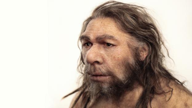 Bbc Earth What Did The Neanderthals Do For Us 