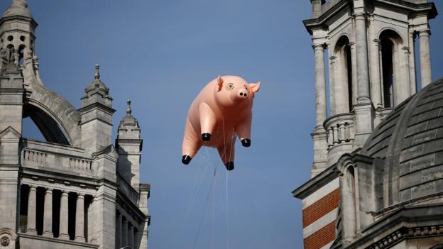 Image result for giant pig balloon