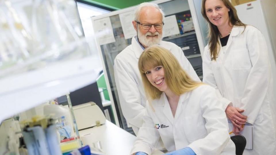researchers cachexia