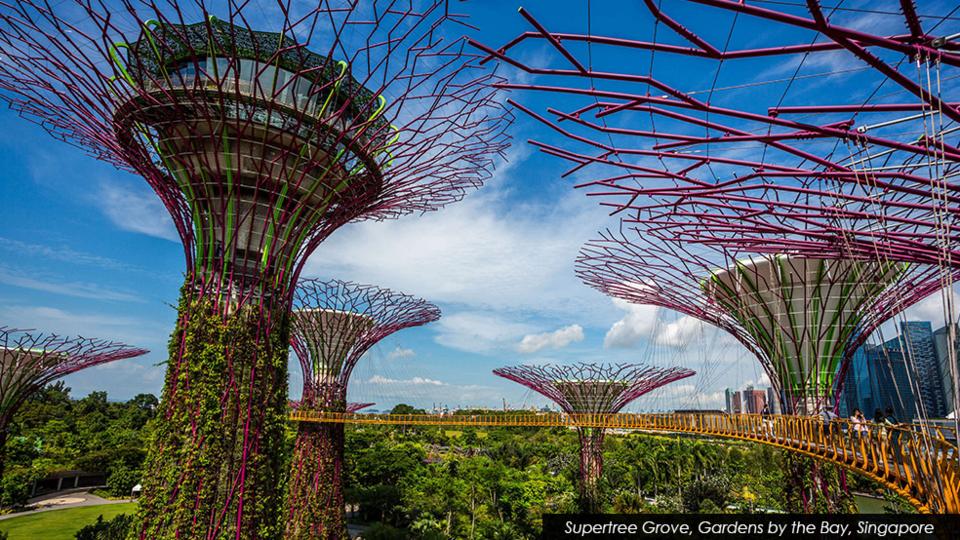 Garden By The Bay Majestic gardensthe bay - the legend of the upside down tree and other Garden By The Bay Majestic gardensthe bay - the legend of the upside down tree and other