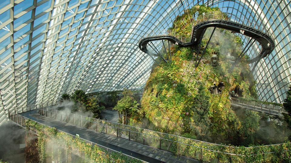 Gardens by the Bay Cloud forest