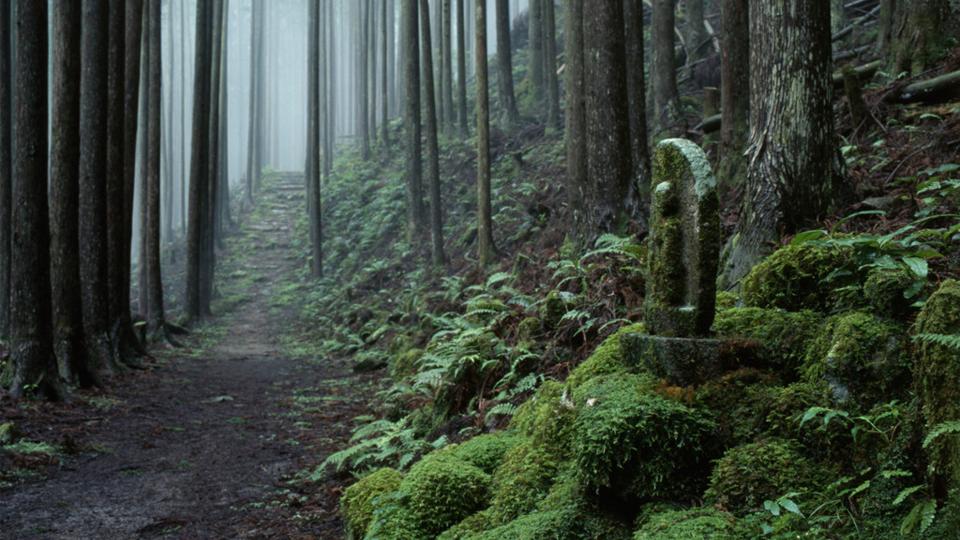 Kumano kodo, Shingu City