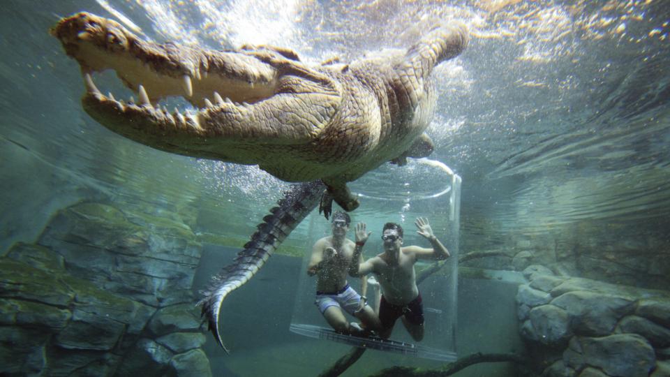 Crocosaurus Cove, Darwin City