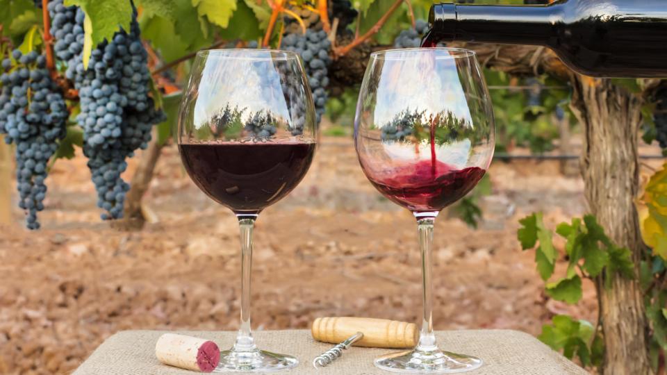 Vineyard