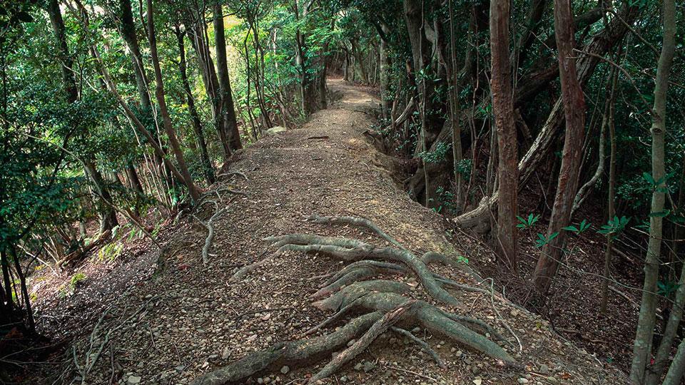 Pilgrimage route - Ohechi