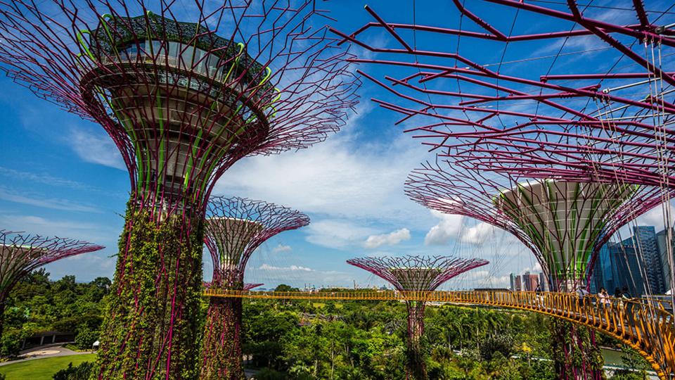 Supertree Grove, Gardens by the Bay, Singapore