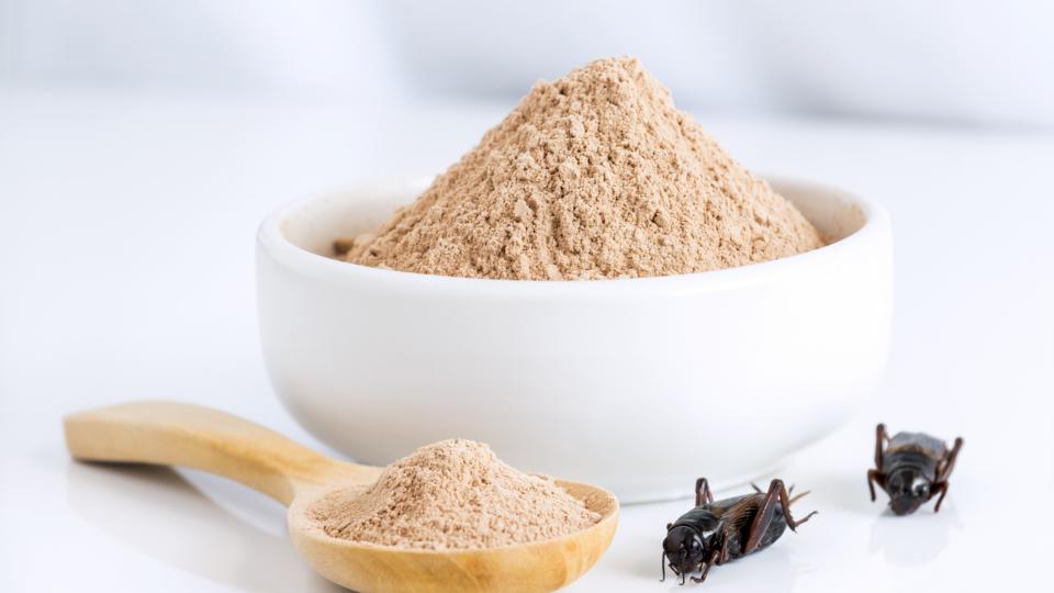 iStock-1084970646.jpg