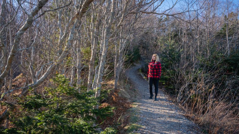 Underated-st-john-bbc-theplanetd-irving-nature-park-hiking.jpg