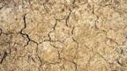 Ground across the UK and Europe is now gasping for water