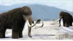 (Copyright: Science Photo Library)
