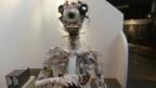 Can computers have true artificial intelligence?