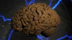 Psychopaths: Born evil?