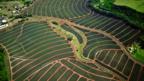 Nanoparticle 'risk' to food crops
