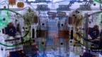 Robots: Can biohybrid model sink or swim?