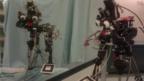 Robot learns to recognise itself in mirror