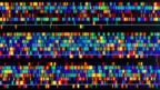 Will we ever… reveal all life’s secrets from DNA?