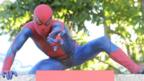 The real Spider-Man: Stickiness goes to the next level
