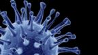 Controversial bird flu work resumes