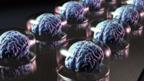Will we ever… simulate the human brain?