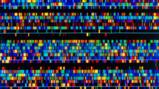 Craig Venter interview: ‘We know 1% of what we’ll ultimately know’