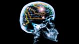 Simpler solutions for unlocking secrets of ageing minds