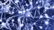 Neural network (Copyright: SPL)