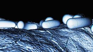 (Copyright: Science Photo Library)
