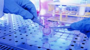 Taking stem cell engineering in Switzerland.