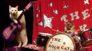Cat rock band (Copyright: Getty Images)