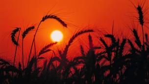 Fertilisers: Enriching the world’s soil