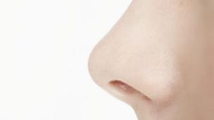 Nose (Copyright: Thinkstock)