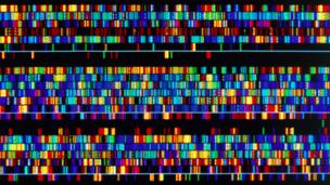 Will we ever… reveal all life’s secrets from DNA?