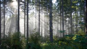 The hidden patterns in nature