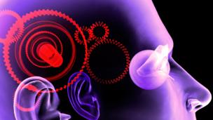Why your brain loves feedback