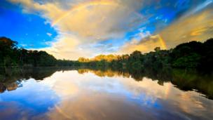 The final episode of BBC Future's Power of Nature series